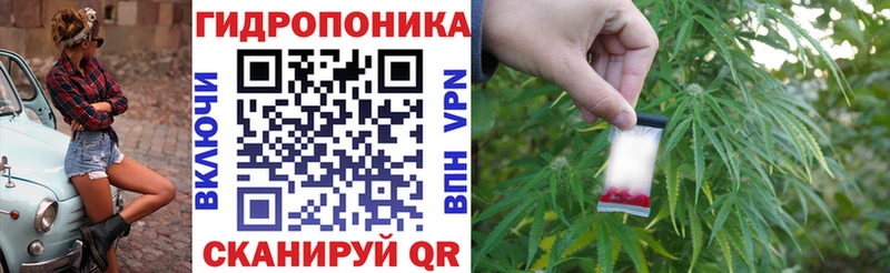 Бошки марихуана план Кедровый